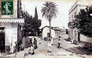 2570- L'Arba - Rue Pirette - 1908